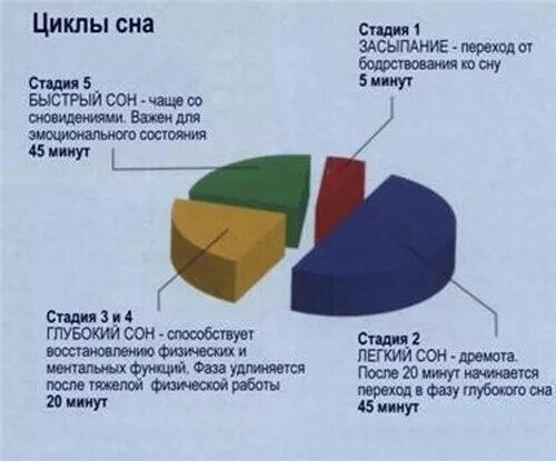 Сколько часов должен длиться сон человека