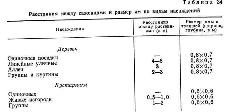 На каком расстоянии сажать груши друг. Расстояние между посадками деревьев. Расстояние между кустарниками при посадке таблица. Посадка саженцев сосны расстояние между деревьями. Расстояние между саженцами плодовых деревьев при посадке таблица.