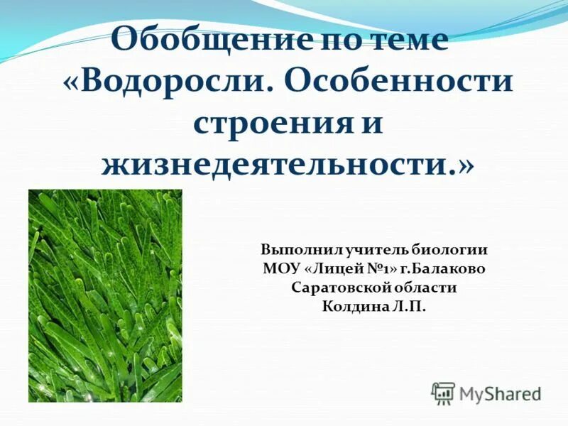 Особенности растения водоросли. Водоросли строение и жизнедеятельность. Особенности жизнедеятельности водорослей. Особенности строения водорослей. Обобщение по теме водоросли.