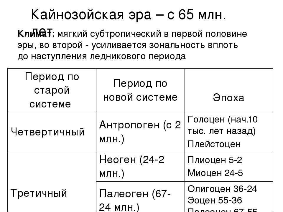 Кайнозойская период таблица. Кайнозой эра периоды. периоды в кайнозойской эре. кайнозойская эра периоды описание. кайнозой периоды и продолжительность.