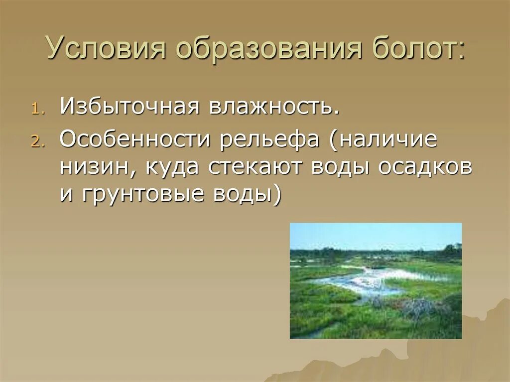 Почему низина. Условия образования болот. Условия формирования болота. Особенности рельефа болот. Причины образования болот.