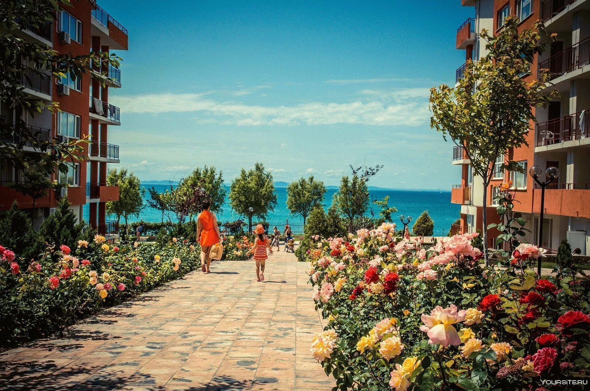 Пляж нардаран баку. Варна золотые пески. Солнечный берег болгария набережная. Солнечный пляж болгария. Солнечный берег болгария пляж.