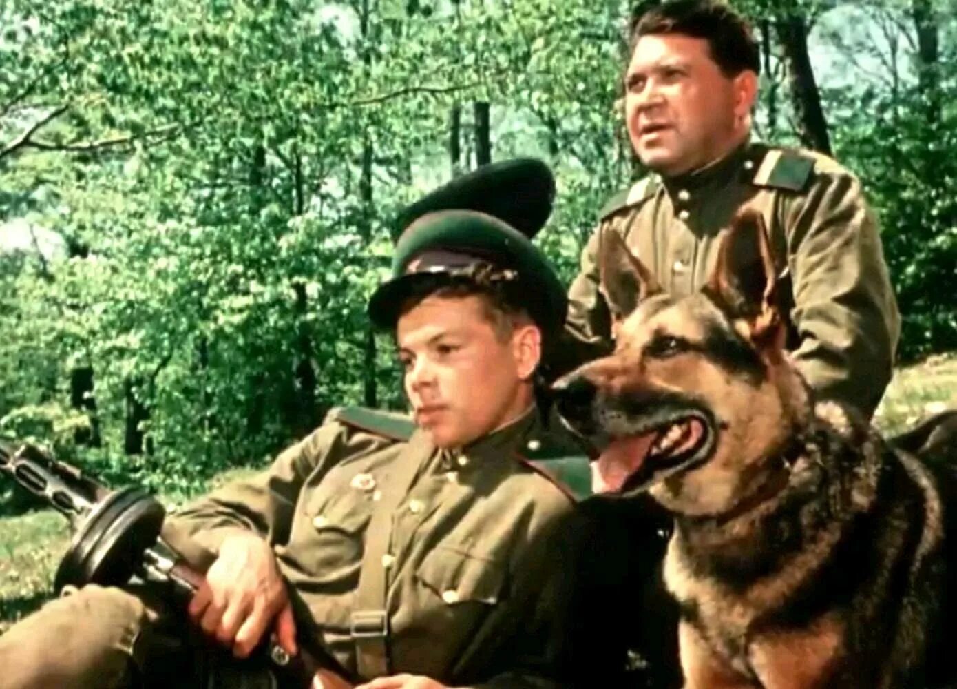 Фильм над тиссой собака. Над тиссой" "мосфильм", 1958 г. Х ф над. Над тиссой фильм. Над тиссой фильм.