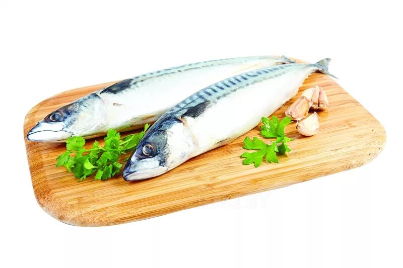 скумбрия хололно го копчения. скумбрия свежемороженая 1кг. скумбрия н/р 400-600 2l 20кг окрф ишков. скумбрия с/м. скумбрия свежемороженая 400-600.