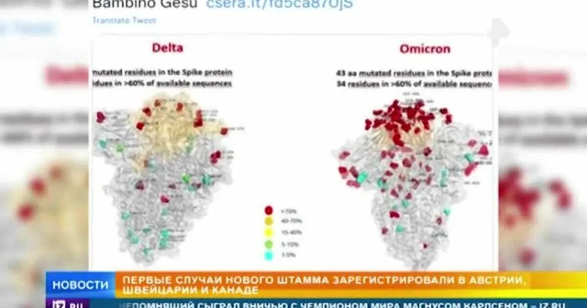 Распространение Омикрона в мире. Штаммы коронавируса в России в 2021 году. Новый штамм коронавируса 2022 после Омикрона. На что влияет новый штамм коронавируса. Новый штамм коронавируса 2022