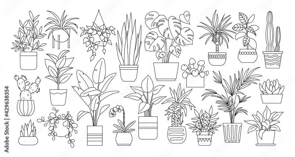 How To Draw A Plant Step By Step - Release Date Price Reviews