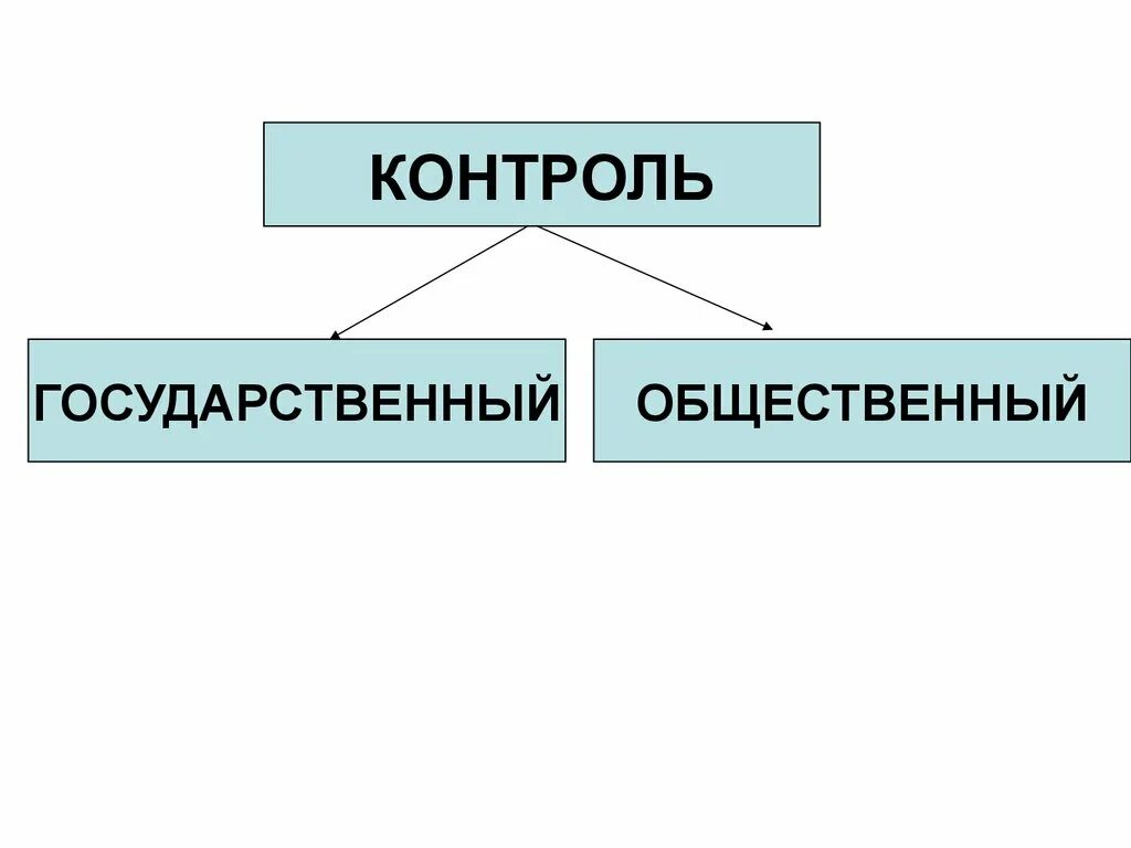 Общественный национальный контроль. Государственный и общественный контроль. Виды контроля государственный и общественный. Виды государственной социальной контроля. Формы общественного контроля.