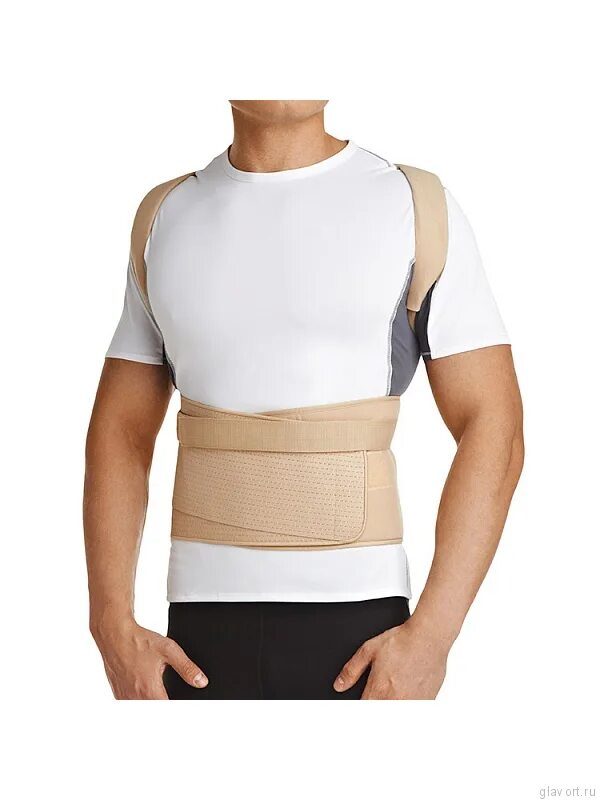 Детский корректор осанки orlett tlso-250(p). Orlett style tlso-250 p. Корректор осанки tlso-250 p. Корректор осанки s1 размер orllet. Корректор осанки orlett tlso-250.