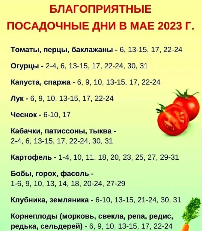 Посадочный календарь для помидор. ,kfujghbznysq ltm lkz gjcflrb gjvbljhjd. посадочные дни. благоприятные дни для посадки. лунный посевной календарь для посева рассады.