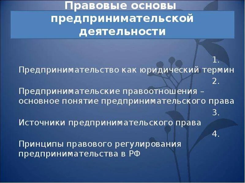 Правовые основы предпринимательства. Правоотношения в предпринимательской деятельности. Основы предпринимательской деятельности.