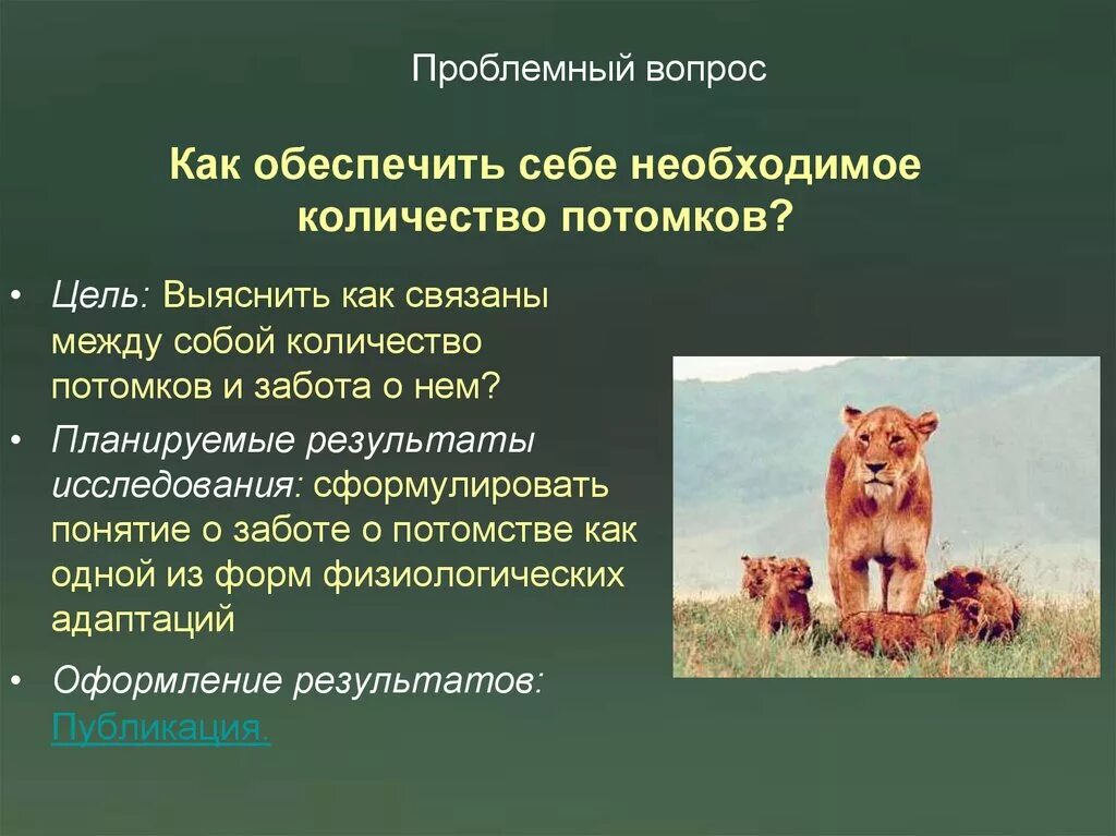 Приспособленность организмов забота о потомстве. Количество потомков. Индивидуальный отбор используется в селекции. Количество потомков. Количество потомков.