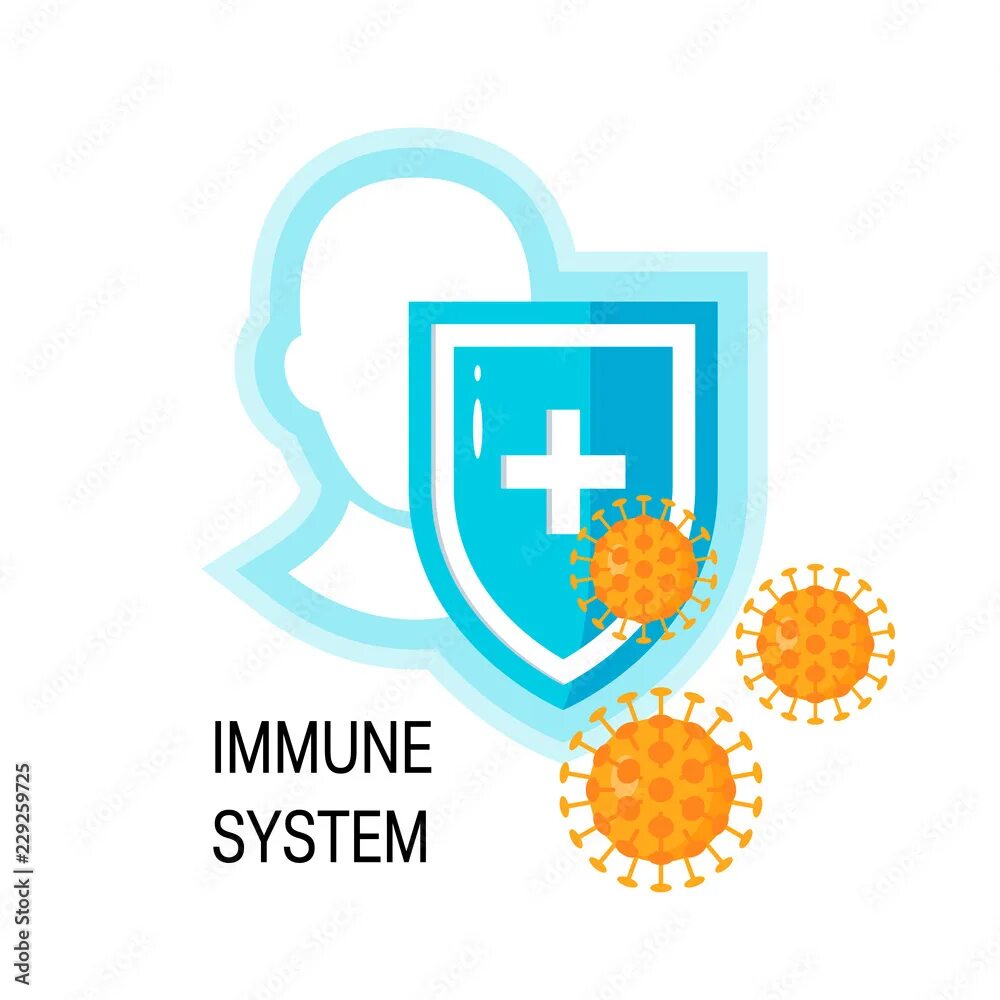 Artificial immune system