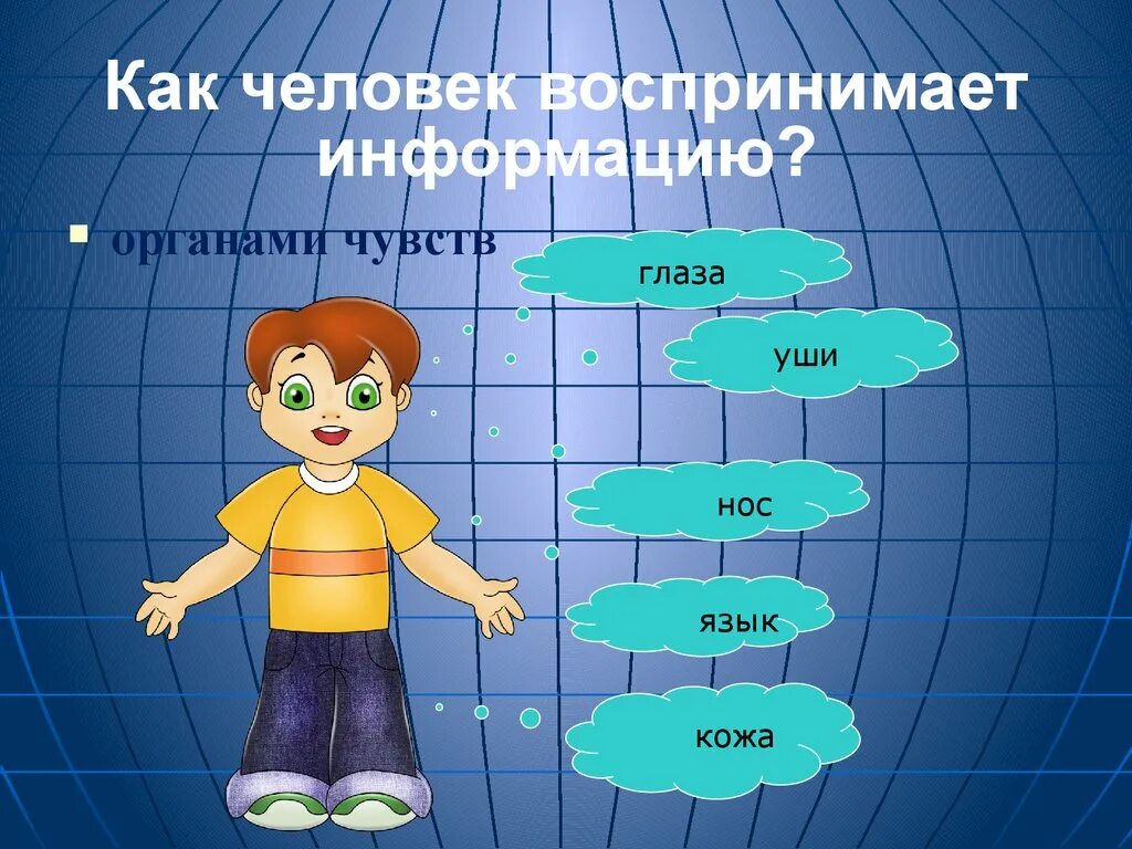 Органы чувств воспринимают информацию. Человек воспринимает информацию. Как воспринимают человека. Как воспринимается информация человеком. Как мы воспринимаем информацию.