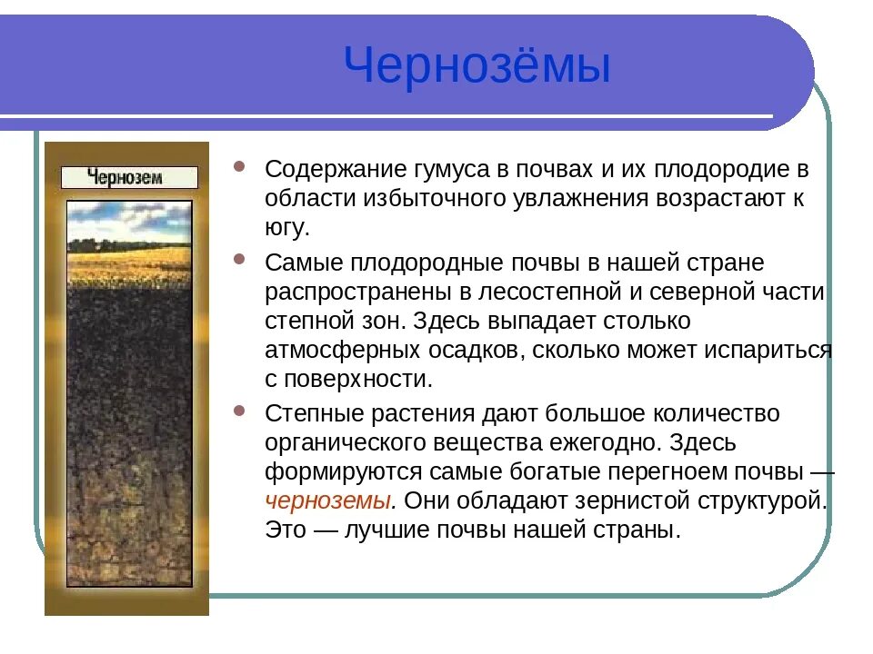 Какая природная зона самая плодородная почва чернозем. Черноземы почвы России таблица. Чернозем описание почвы 4. Чернозёмные почвы характеристика. Характеристики почв чернозем почва.