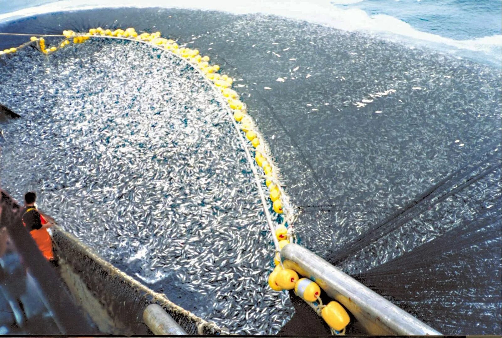 Добыча биоресурсов. Ловля рыбы кошельковым неводом. Атлантический океан лов рыбы. Отлов рыбы. Добыча рыбы в океане.