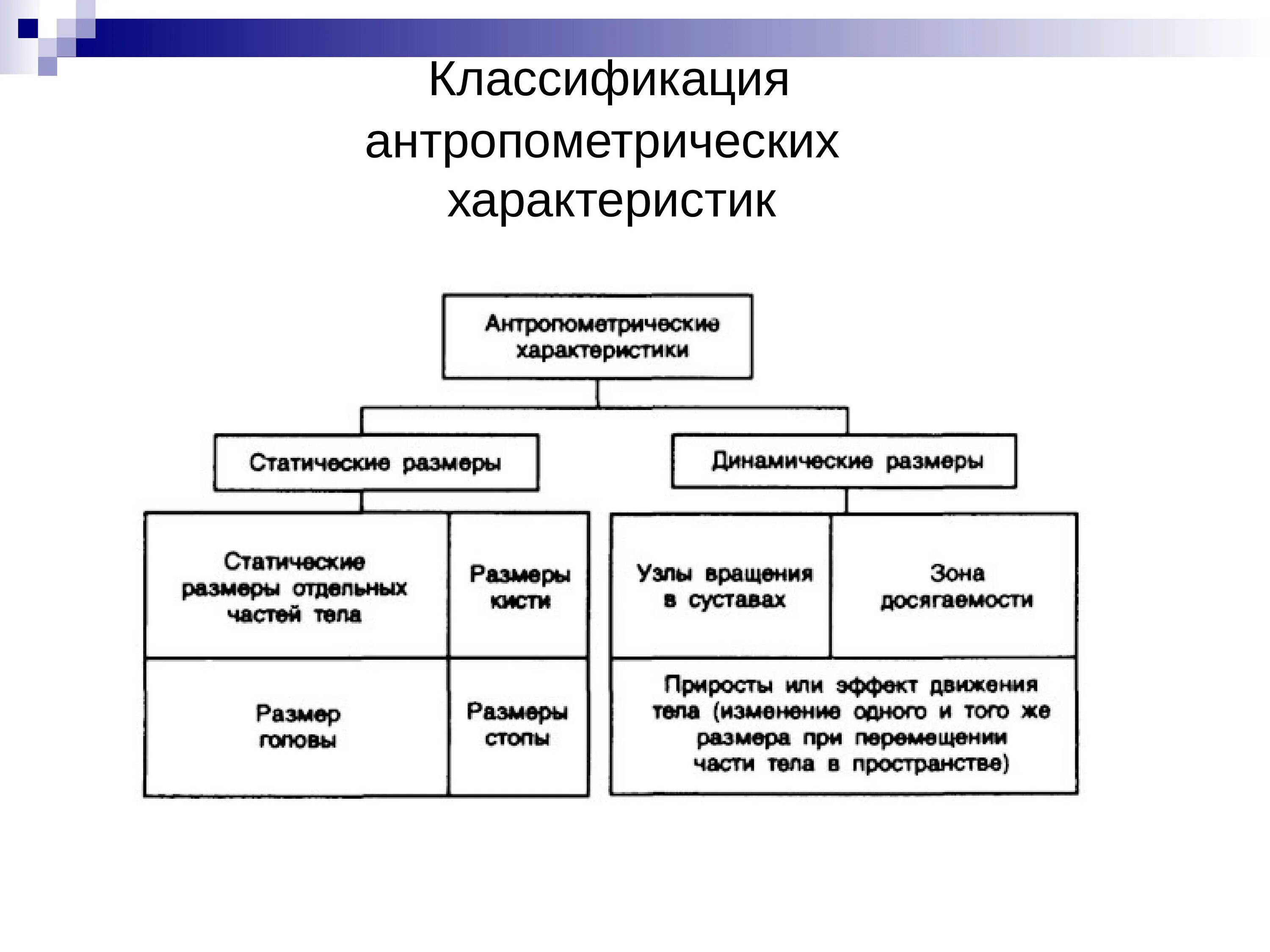 Классификация параметров. Классификация антропометрических характеристик. антропометрические характеристики. динамические антропометрические характеристики это. статистические антропометрические характеристики это.