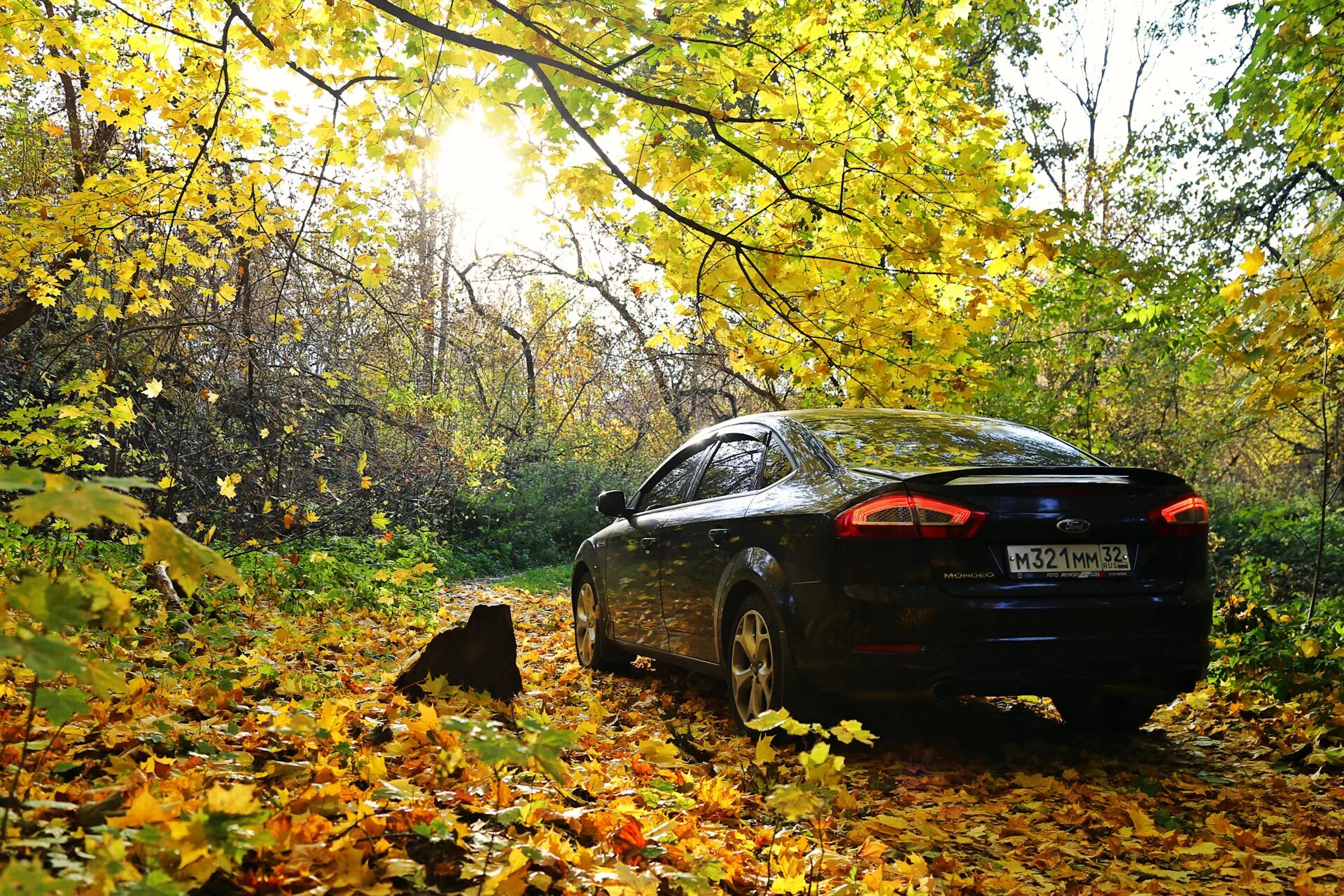 Ват осенняя роскошь. Осенний букет в теплых тонах. Образы на осень. Дизайнерский осенний букет. Нежные осенние цветы.
