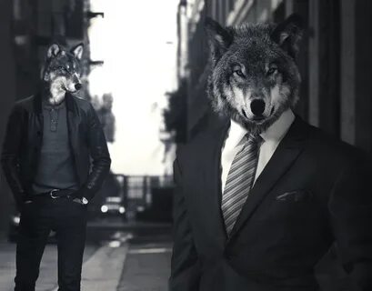 Wolf street