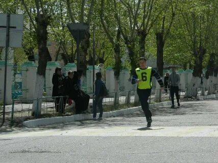 Занятости борзя