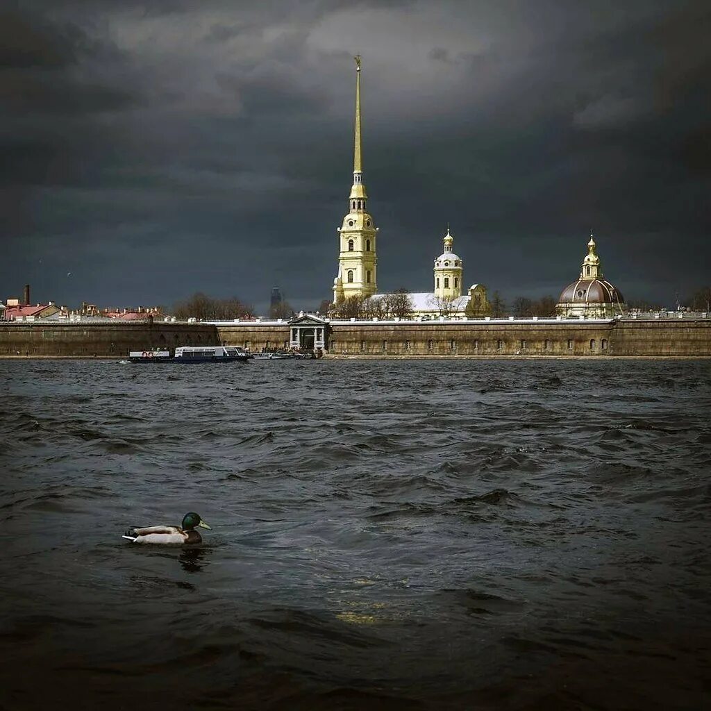 Петербург петропавловская крепость фото. Петропавловская крепость в санкт-петербурге. питер петропавловская крепость. петропавловский собор вид с невы. питер петропавловская крепость фото.