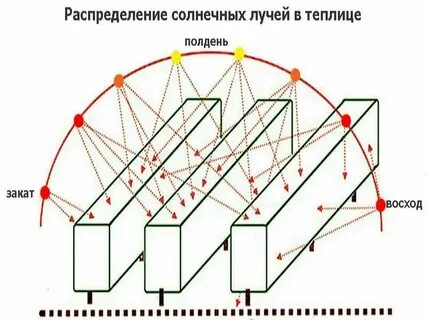 Как правильно ставить теплицу относительно сторон