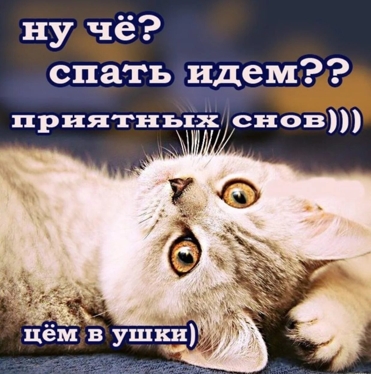 Тихо ложись спать. Пора спать!. спать пора спокойной ночи. открытки пора спать. я спать спокойной ночи.
