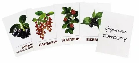 Ягоды 16
