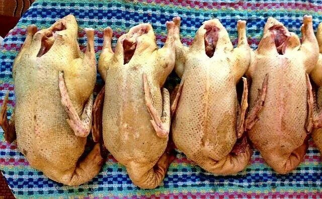 Цвет мяса гуся