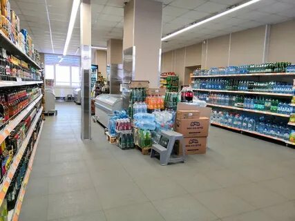 Домовой мурино