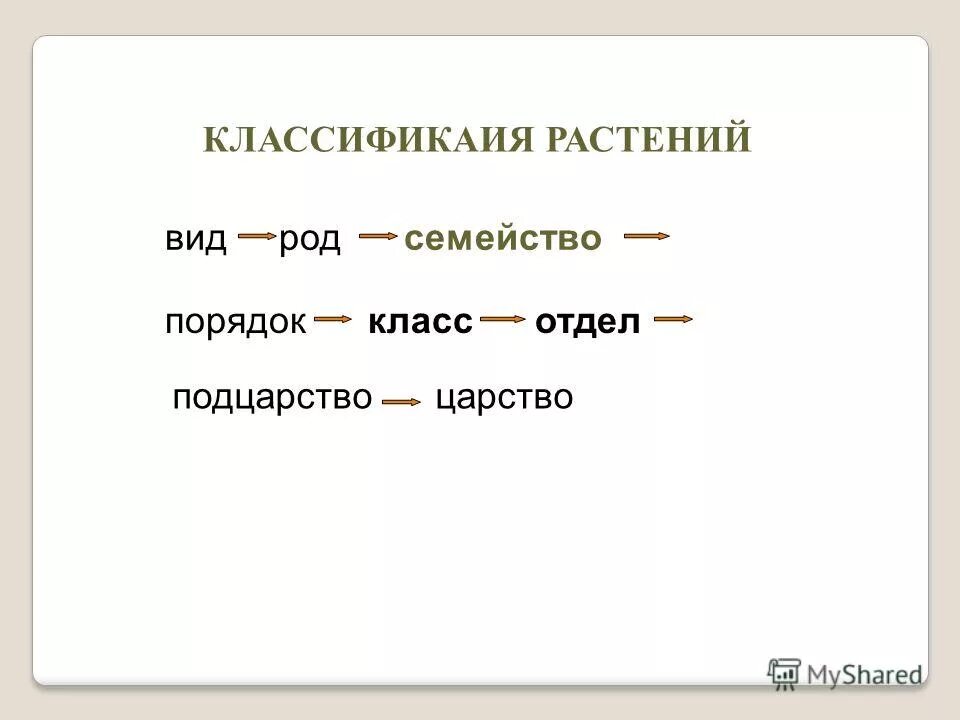 Сверлящим род. Сверлящим род. Сверлящим род. Мужской род женский род средний род слова. Сверлящим род.