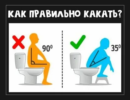 Почему женщина какает