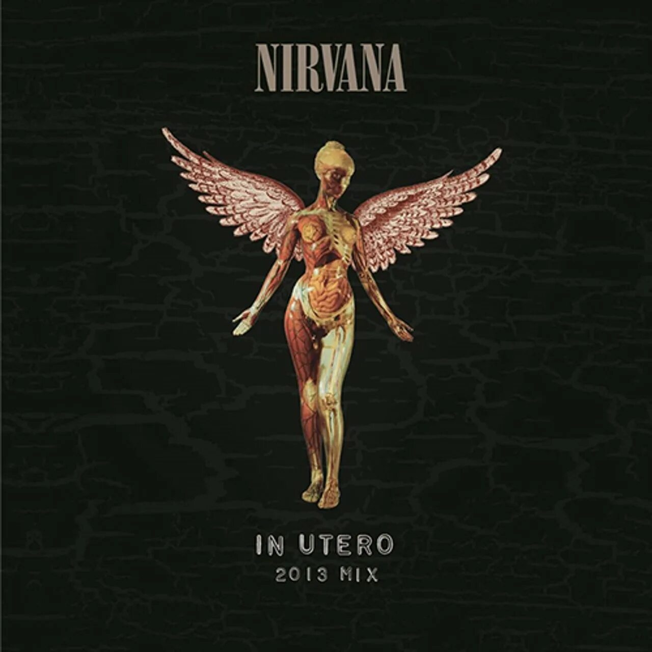 Альбомы нирваны. Nirvana in utero обложка. Nirvana in utero 2013 Mix. Nirvana in utero диск. Nirvana "in utero (LP)".