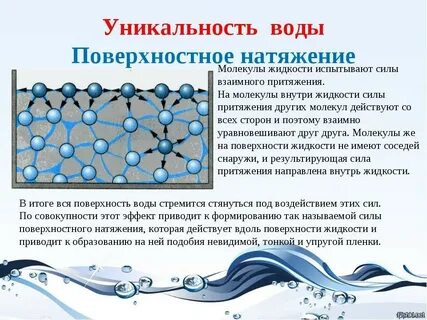 Сила поверхностного натяжения презентация