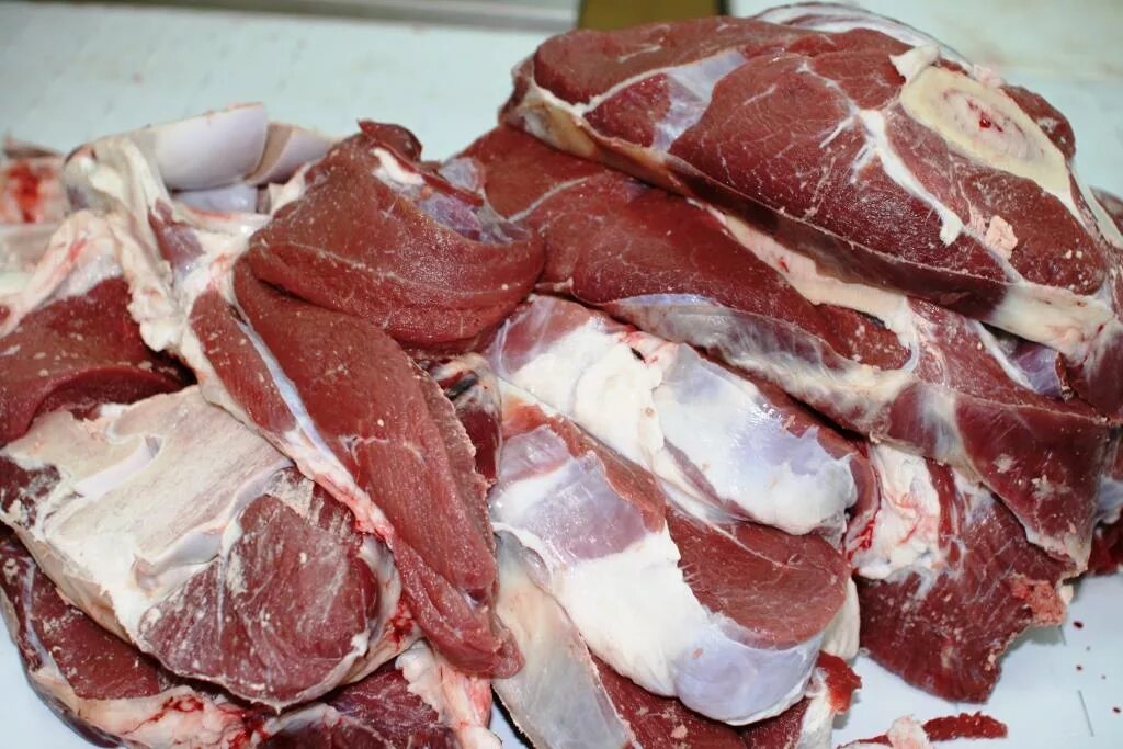 мясо молодого бычка