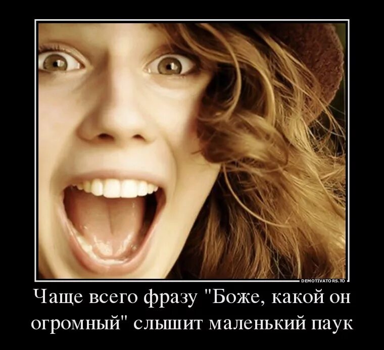 Слышать мало. Боже какой огромный. Вещи своими именами. Боже какой огромный чаще всего слышит маленький паук. Называй вещи своими именами прикол.