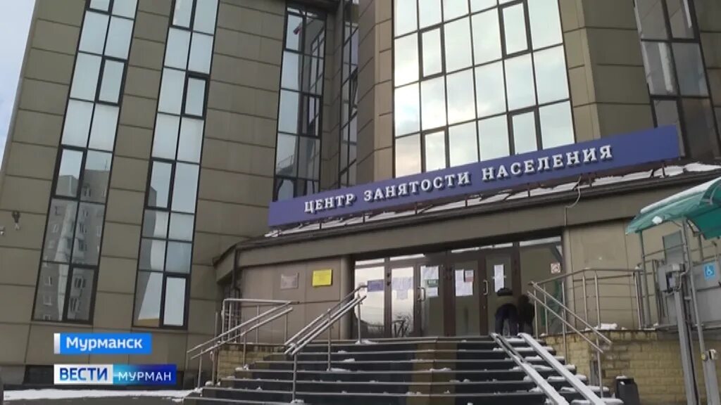 Книповича 48 мурманск. Центр занятости мурманской области. Мурманск занятость. Мурманск занятость. Центр занятости мурманск.