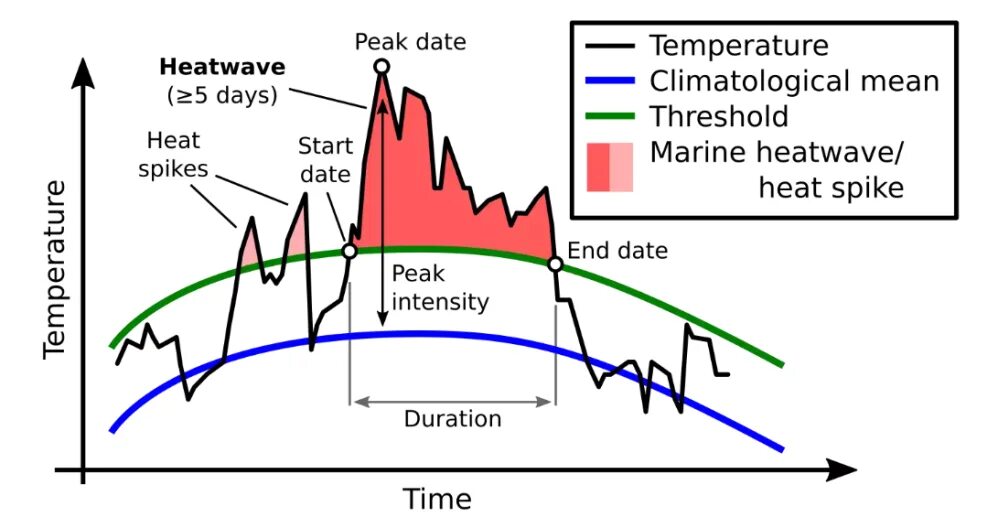 Heat waves на русском. Heat waves текст. обои heat waves. heat waves перевод. heat waves целиком переборами.