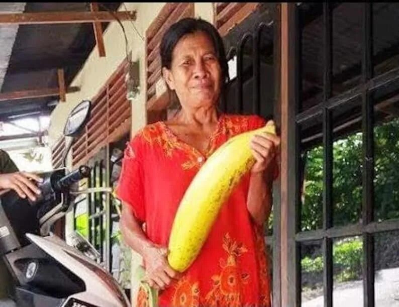 Большие тайцы. Огромный банан. Гигантский банан. Самый большой банан. Самый большой банан в мире.