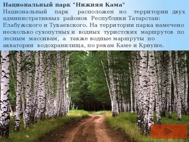 Парк нижняя Кама Республики Татарстан. Разнообразие природы родного края Татарстан. Растительный мир Татарстана. Национальные парки нижняя Кама сообщение на тему. Рассказ о сообществе родного края