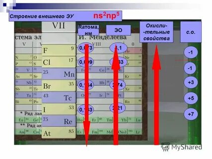 Подгруппа галогенов