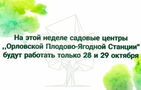 Плодовая орел