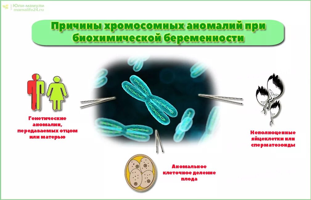 Причины биохимической беременности