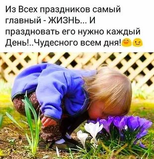 Да это каждый день