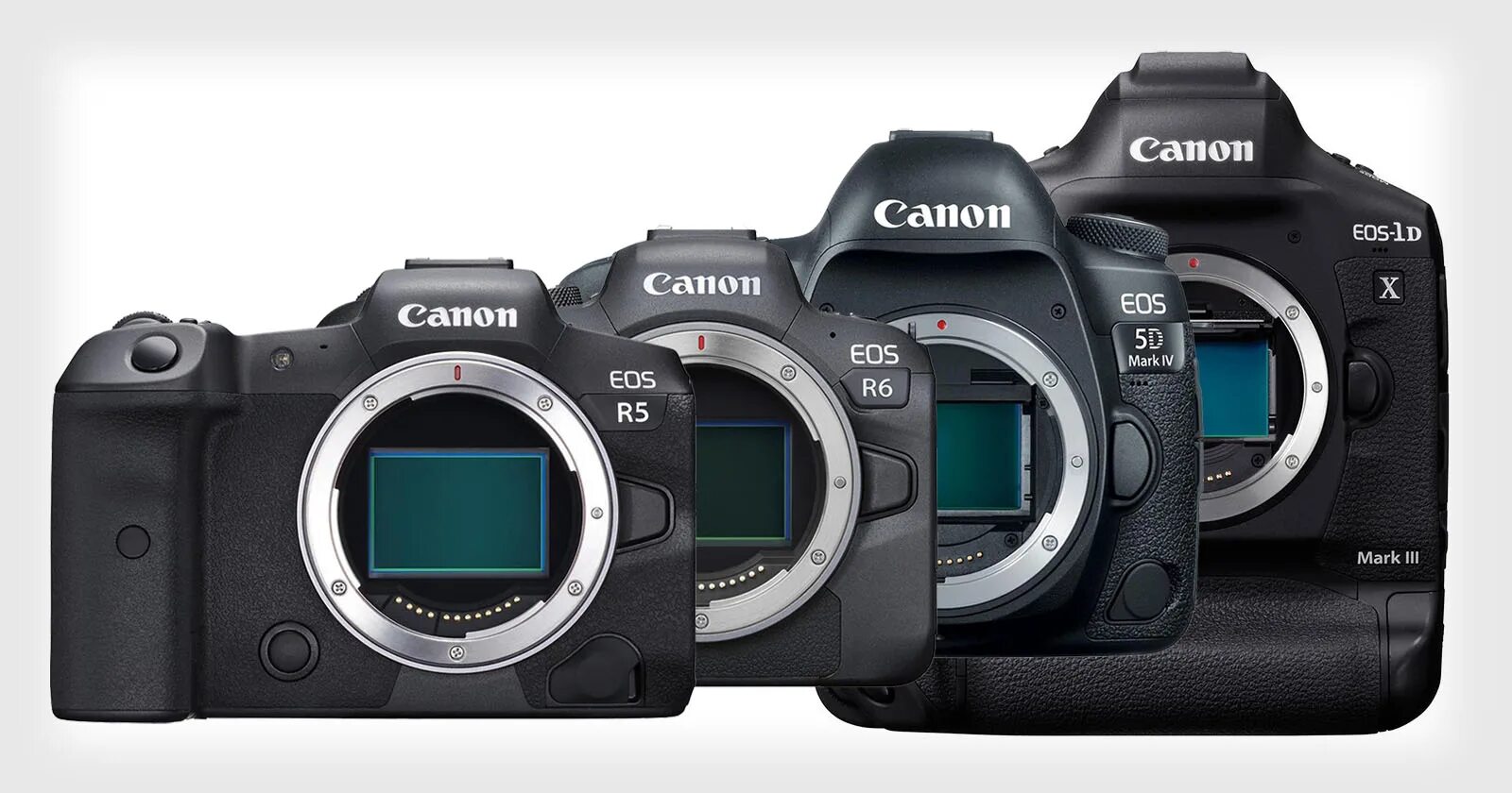Canon EOS r6. Canon r5 Mark II. Canon EOS r6 body. Canon EOS r6 Mark II. R5 mark ii