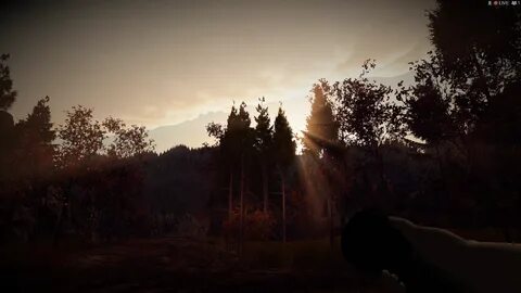 Slender the arrival