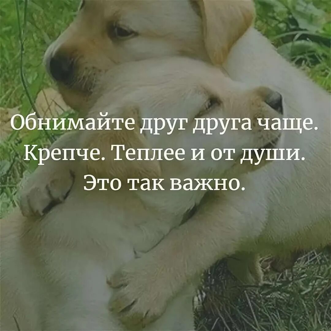 Найди обними. Обнимайтесь чаще стихи. Обнимите друг друга. Обнимайте друг друга. Обнимайте друг друга чаще.