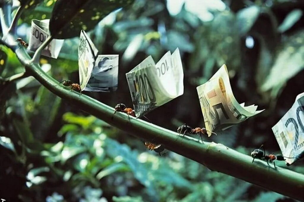 Working for money. Муравьи несут деньги. Женщина с деньгами. Working for money. Working for money.