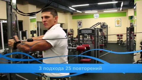 Профитнесс 31