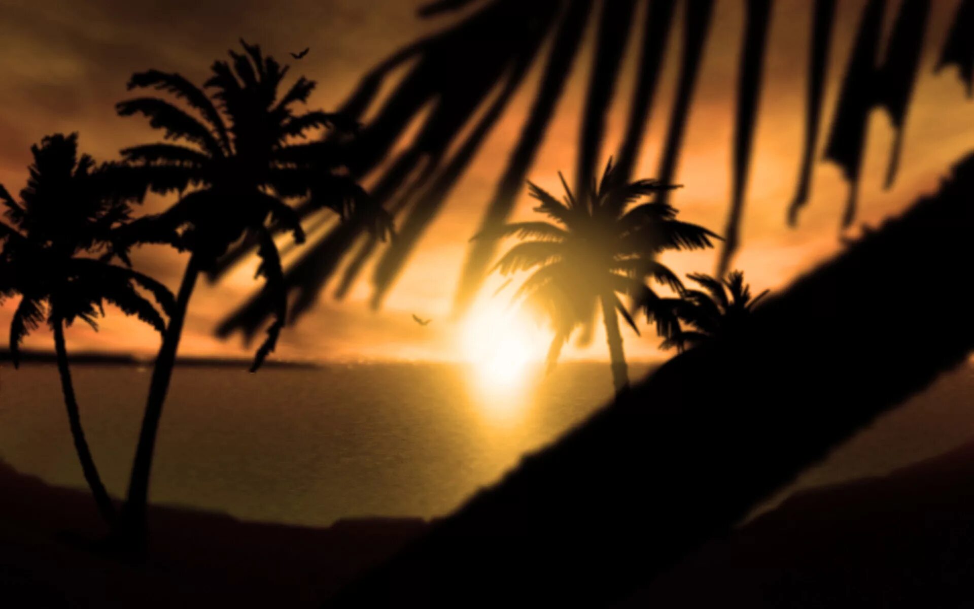 Ночное море с пальмами. Лос Анджелес пальмы закат. Картинки на рабочий стол пальмы. Фон ночь пальмы.
