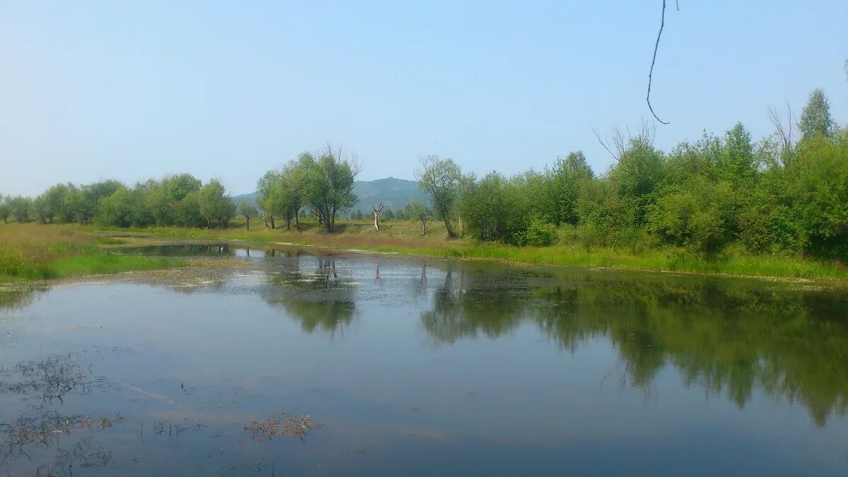 Погода линево озеро хилокский